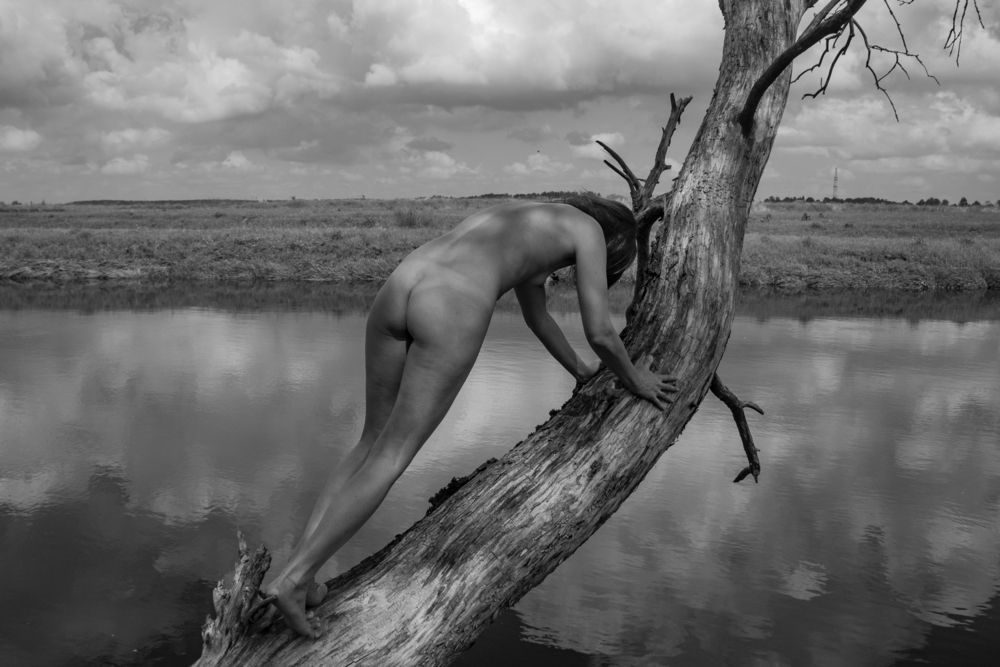 Photograph by Дмитрий Потапов