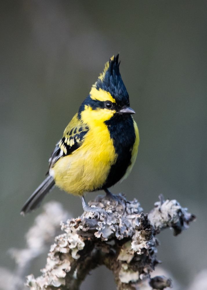 Photograph by Sathishkumar S