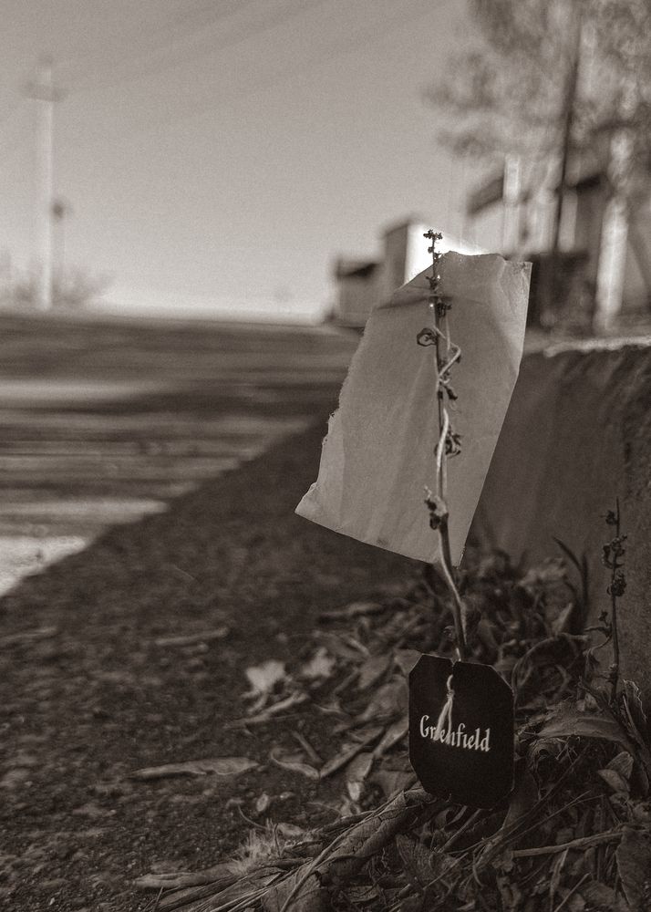 Фотография автора Ирина Павлова