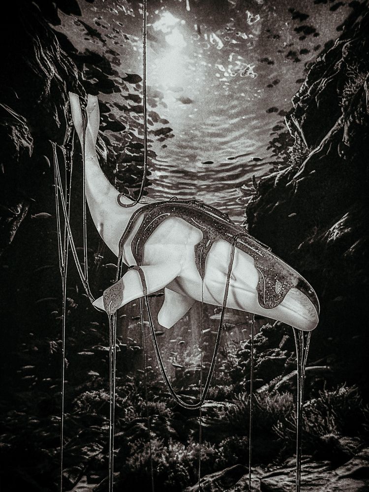 Фотография автора Ирина Павлова