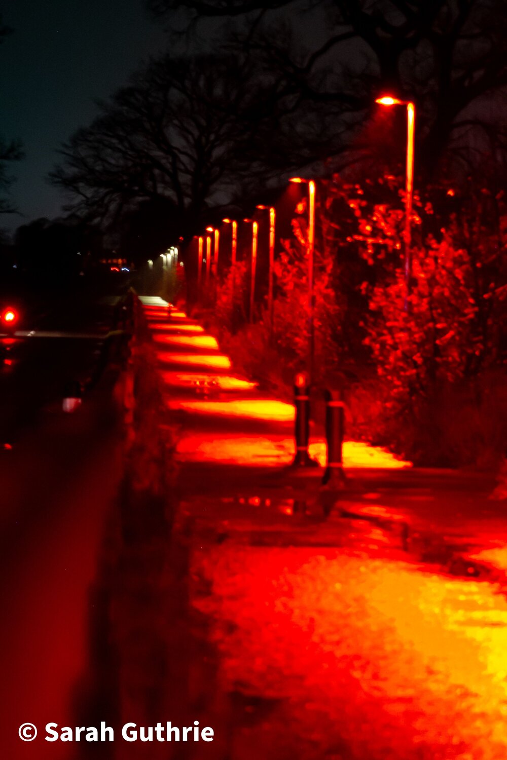Photo #12958886