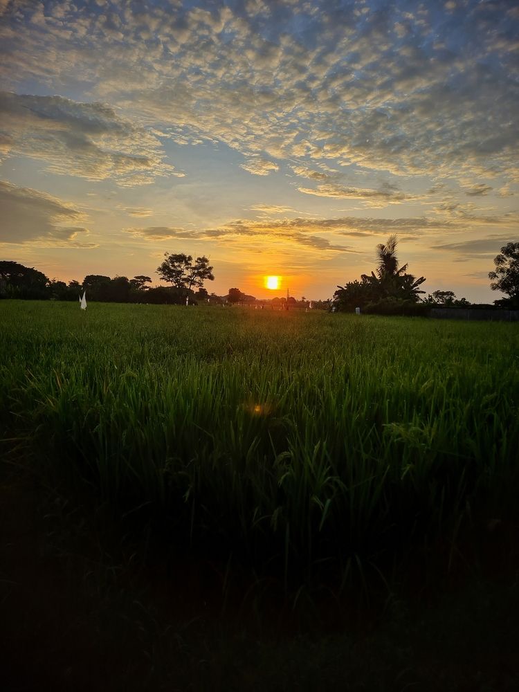 Photograph by Dwi Agus