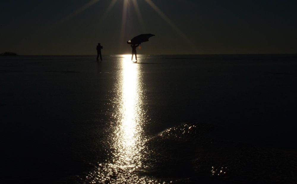 Почему люди не летают как птицы....