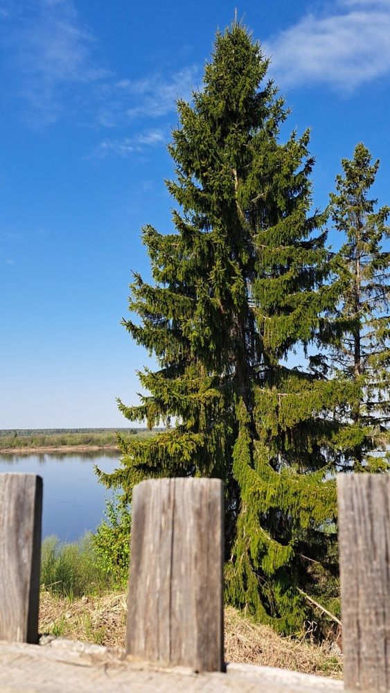 Photograph by Валентина Кузьменко