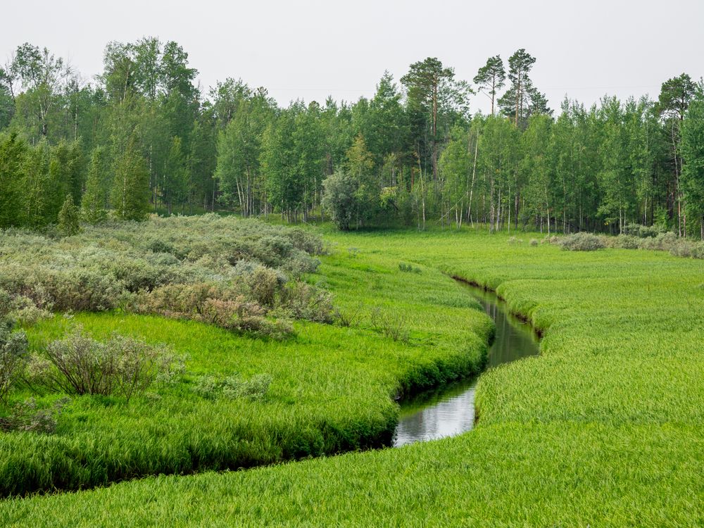 Photograph by Руслан Абдрашитов