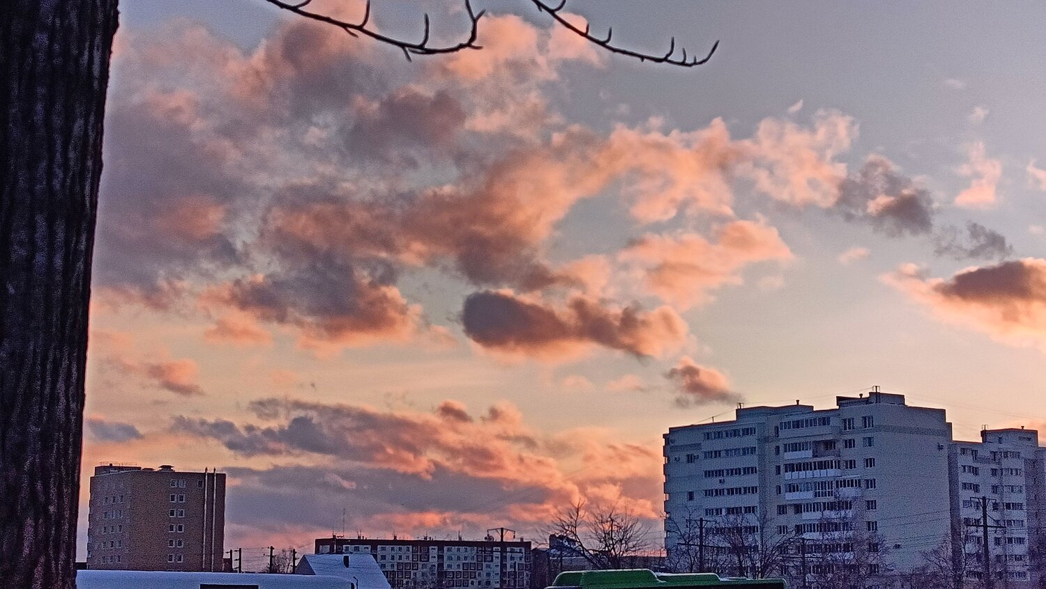 Photo #12959067