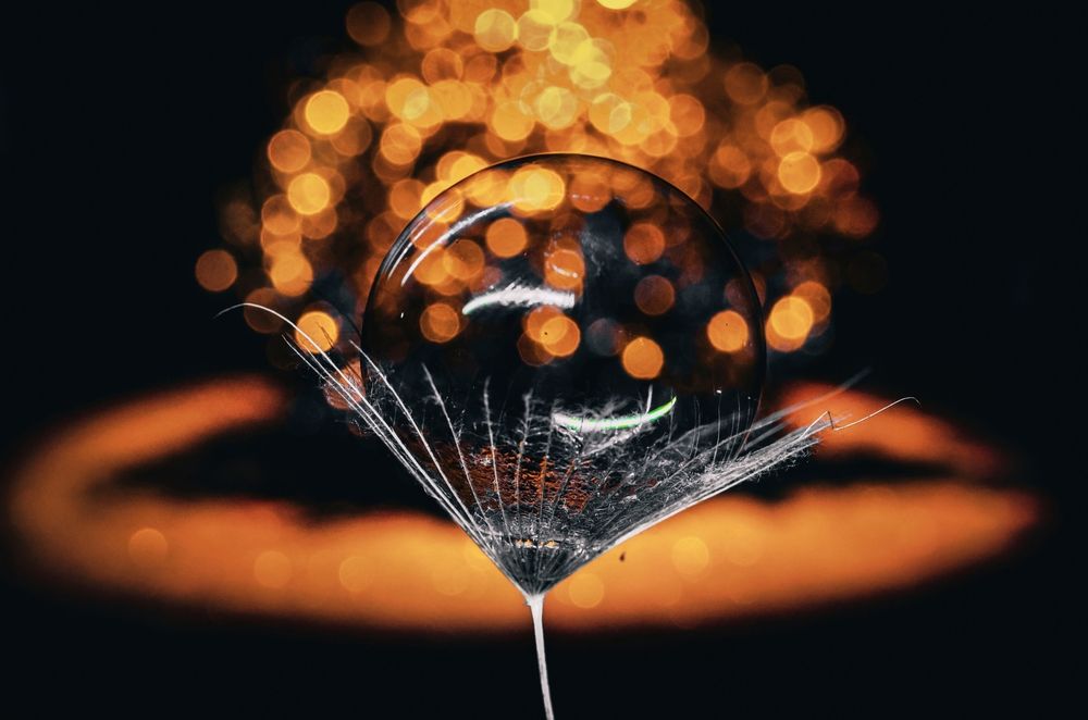 Фотография автора Наталья Алексеева