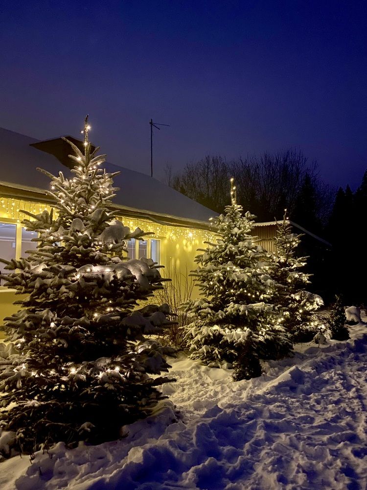 Photograph by Олеся Чистова