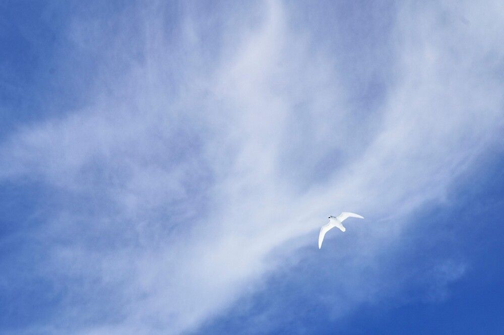 Photograph by Алексей Логинов