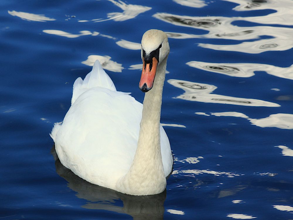 Photograph by Гагик Саркисян