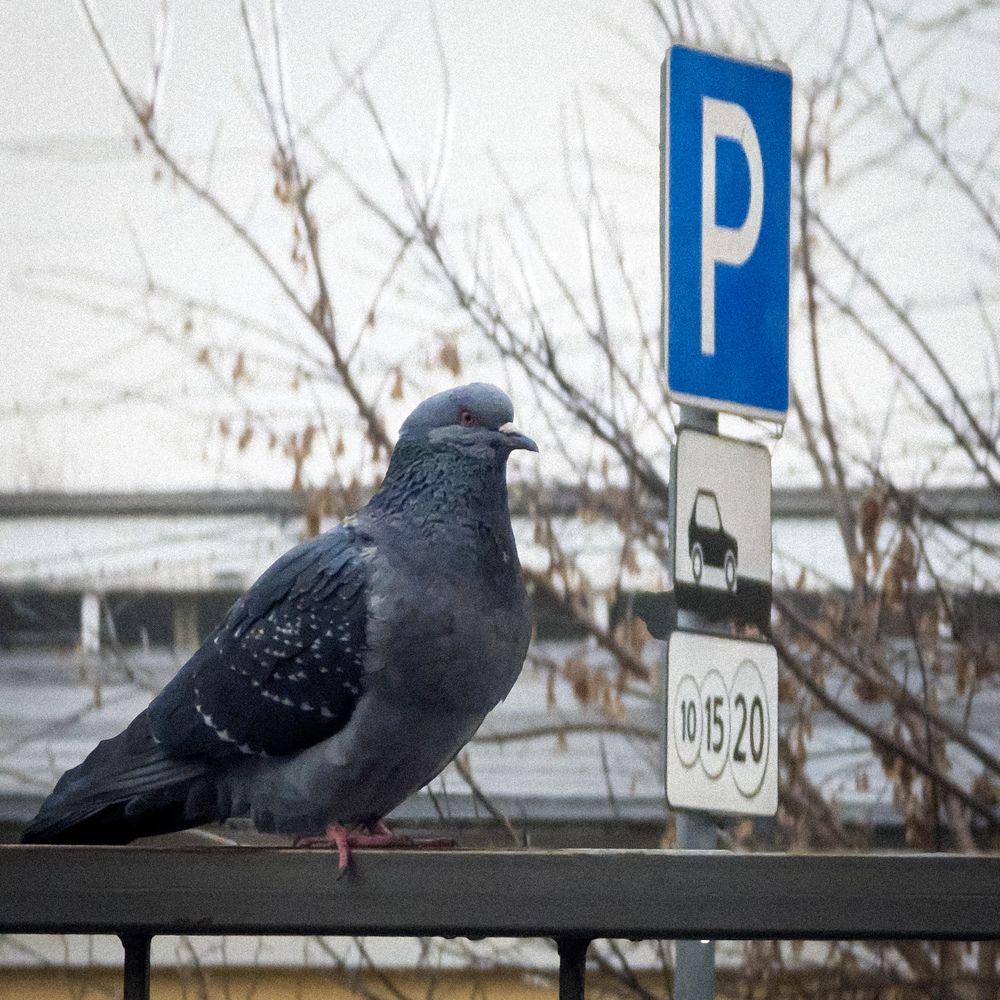 Photograph by Lenar Valeev