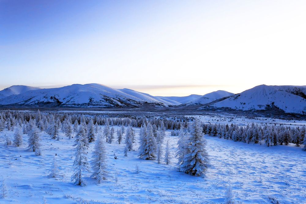 Зимний день.