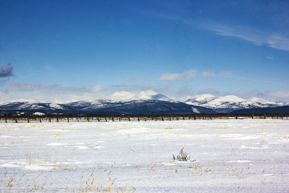 Весенним утром.