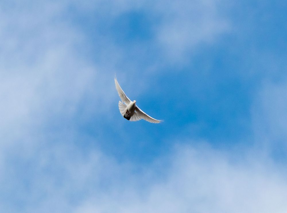 Photograph by Emin Vardanyan