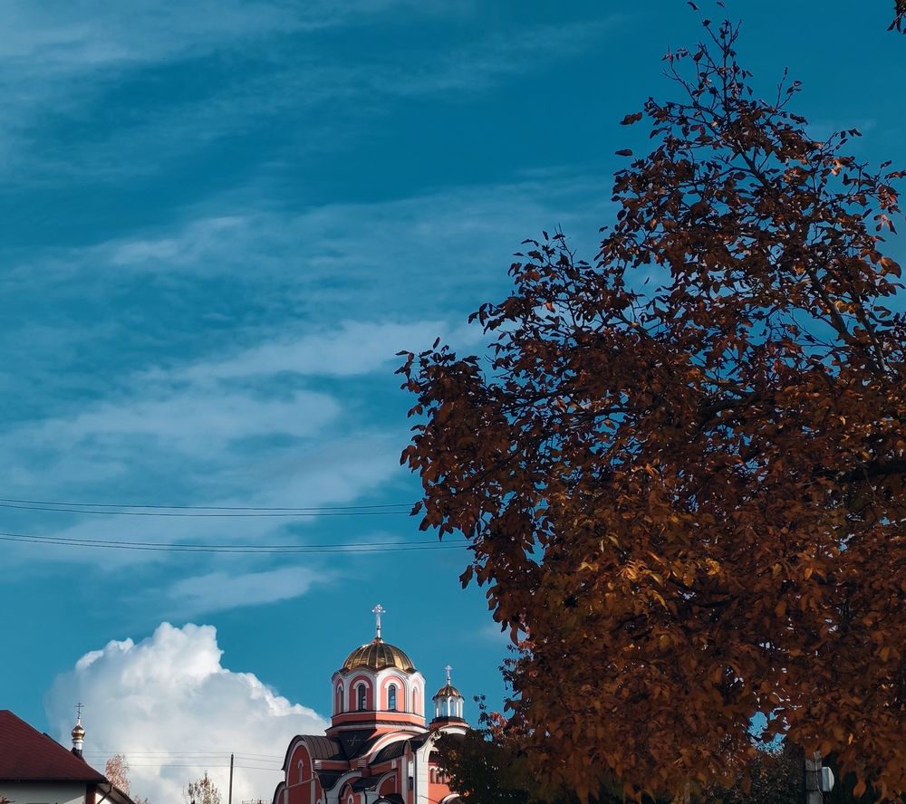 Photograph by Александра Пецевич