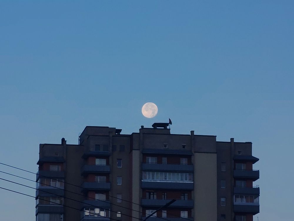 Photograph by Александра Пецевич