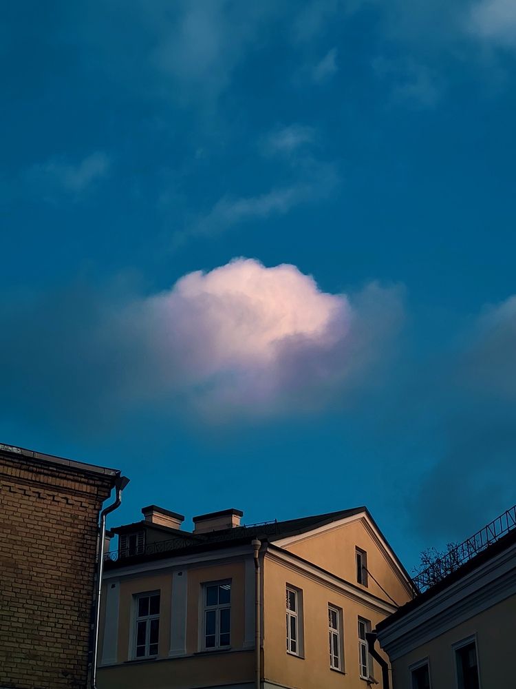 Photograph by Александра Пецевич