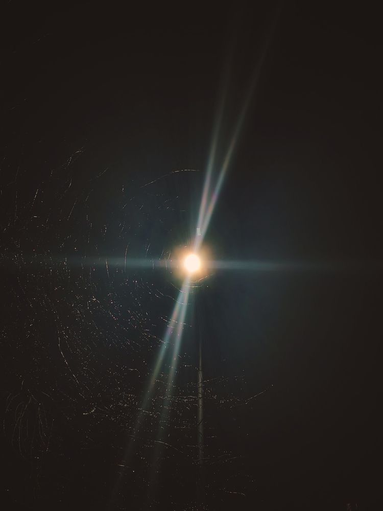 Photograph by Александра Пецевич