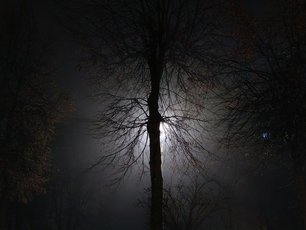 Photograph by Александра Пецевич