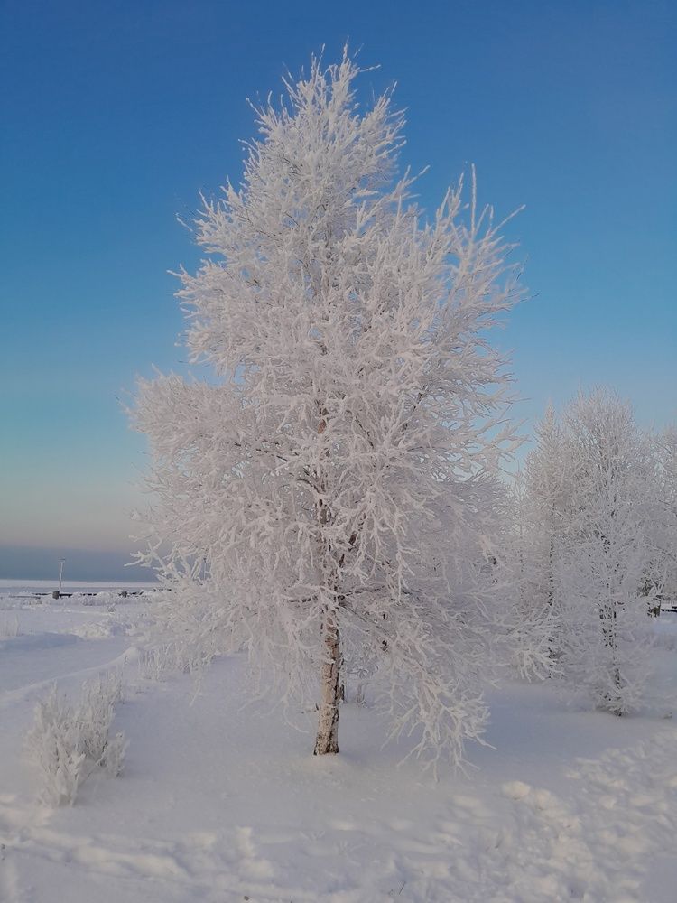 Photograph by Виталий Глазачев