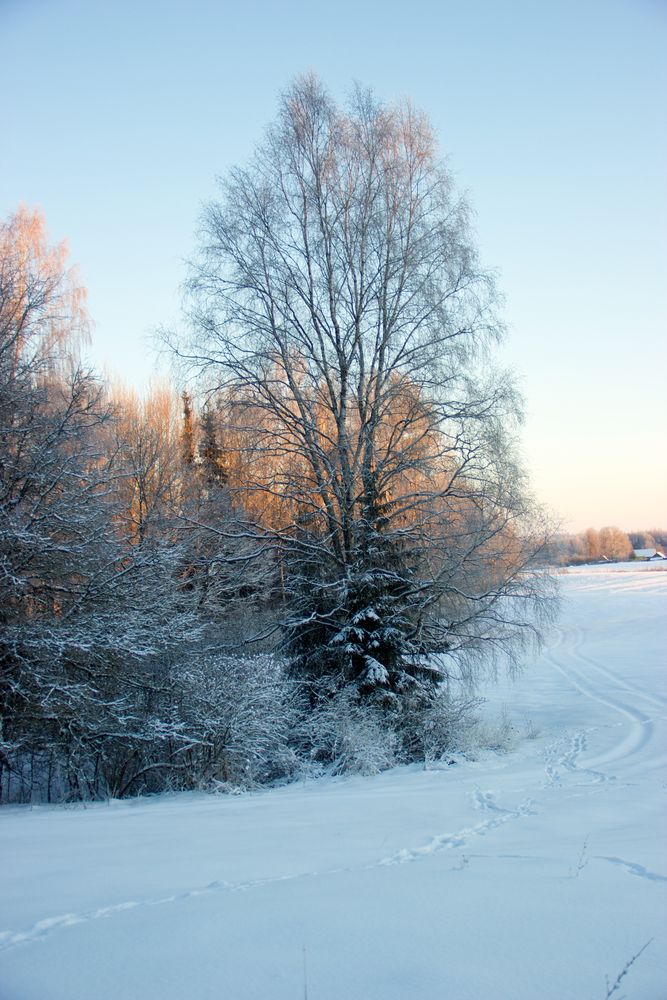 Photograph by Анна-Лаймуте Милошевич