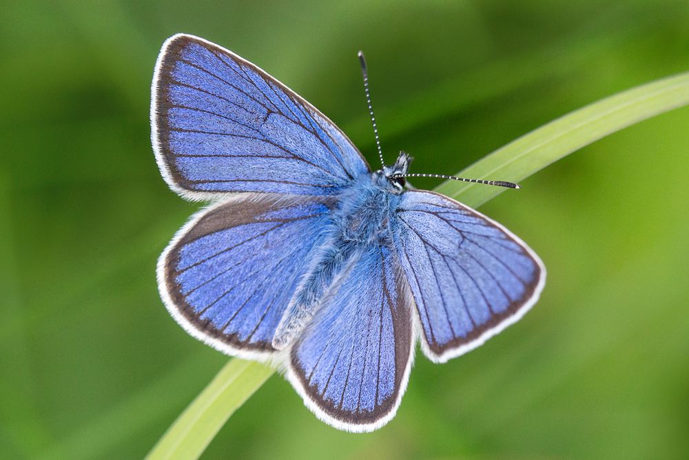 Photograph by Алексеев Сергей