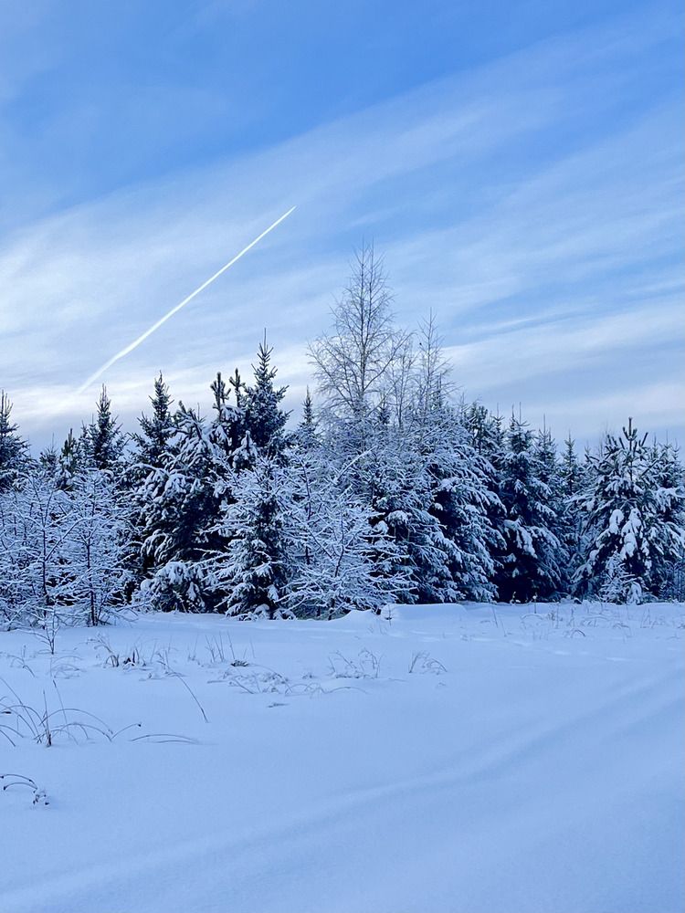 Photograph by Ирина Селиверстова