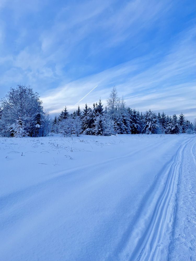 Photograph by Ирина Селиверстова