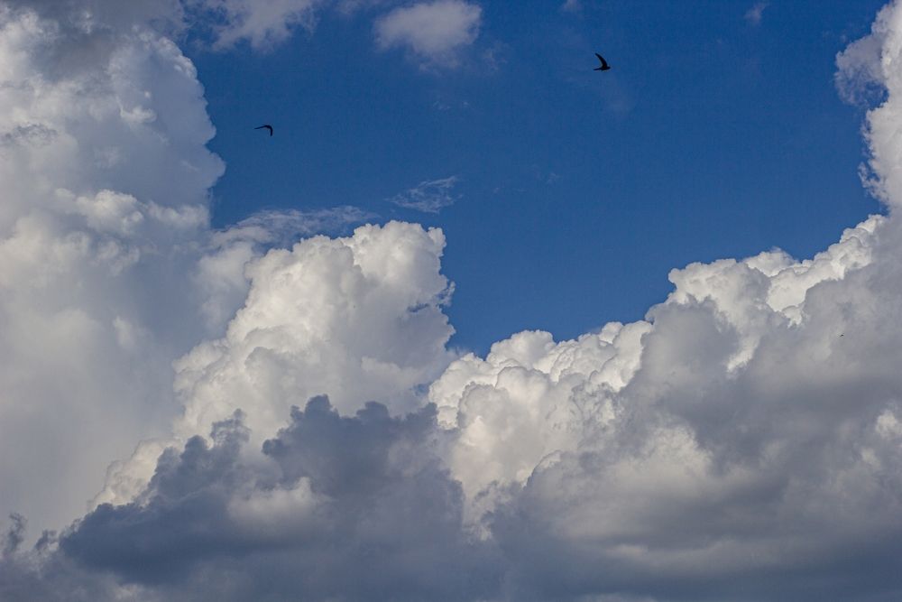 Photograph by Александр Лобынцев