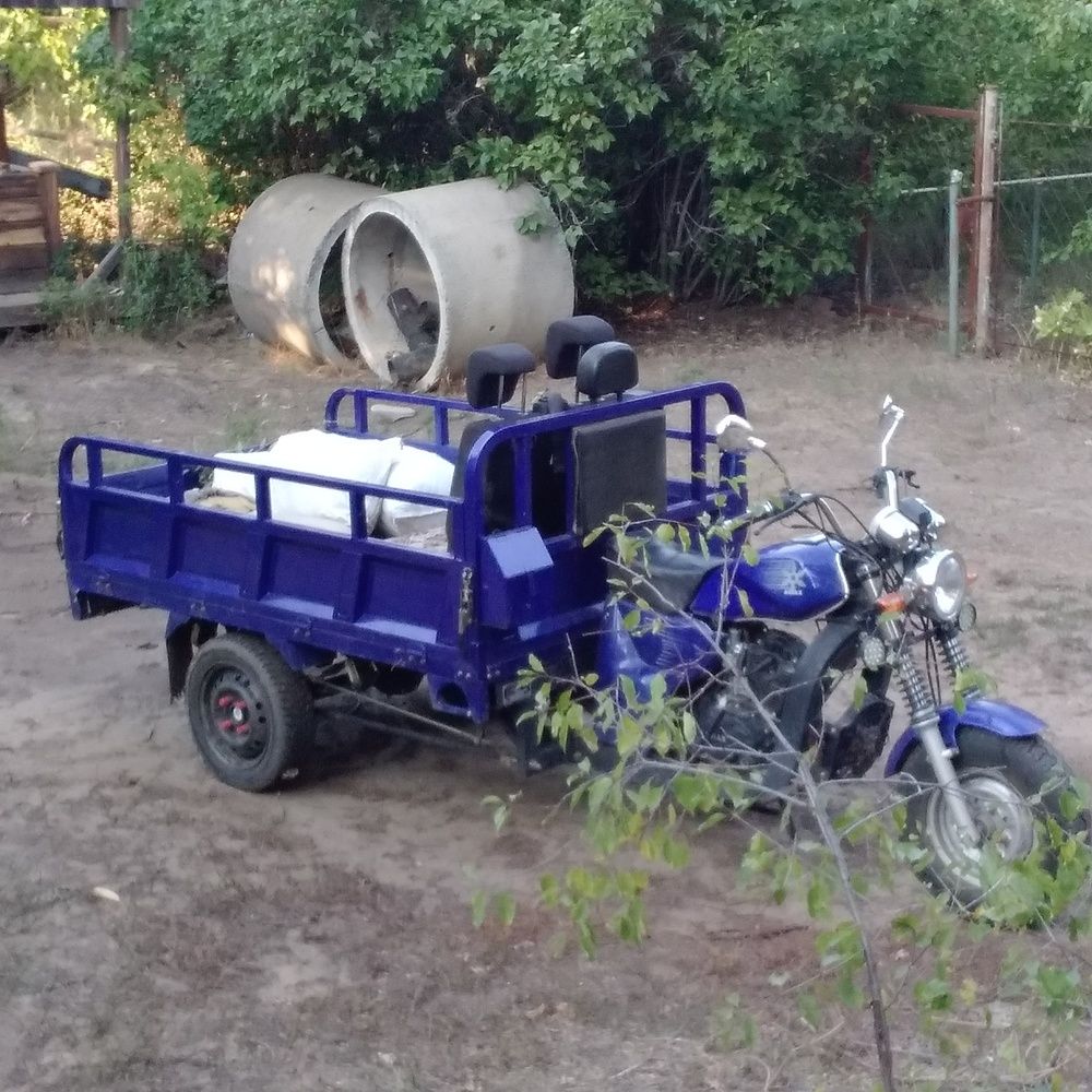 Photograph by Васильева Львовна