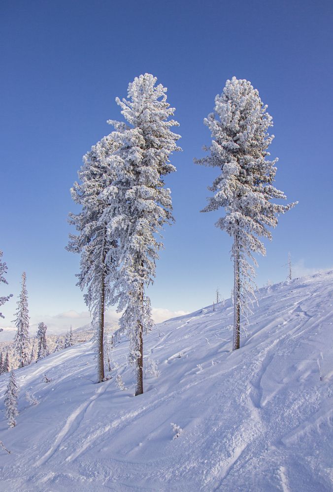 Photograph by Елена Павлова