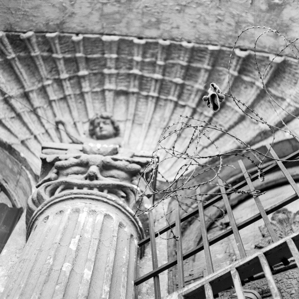 Photograph by Nicolas Varul