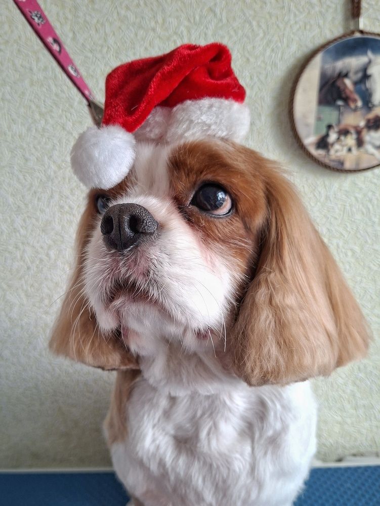 Photograph by Бакшеева Марина