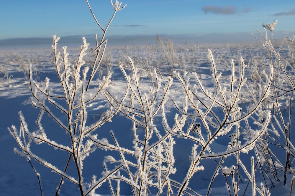 Photograph by Olga Bagaeva