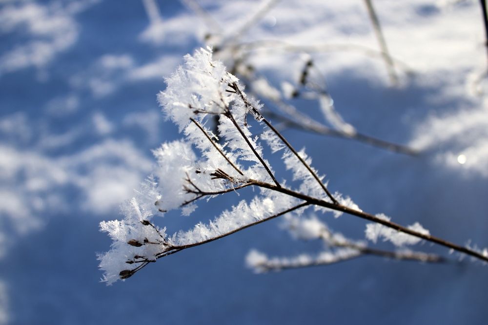 Photograph by Olga Bagaeva