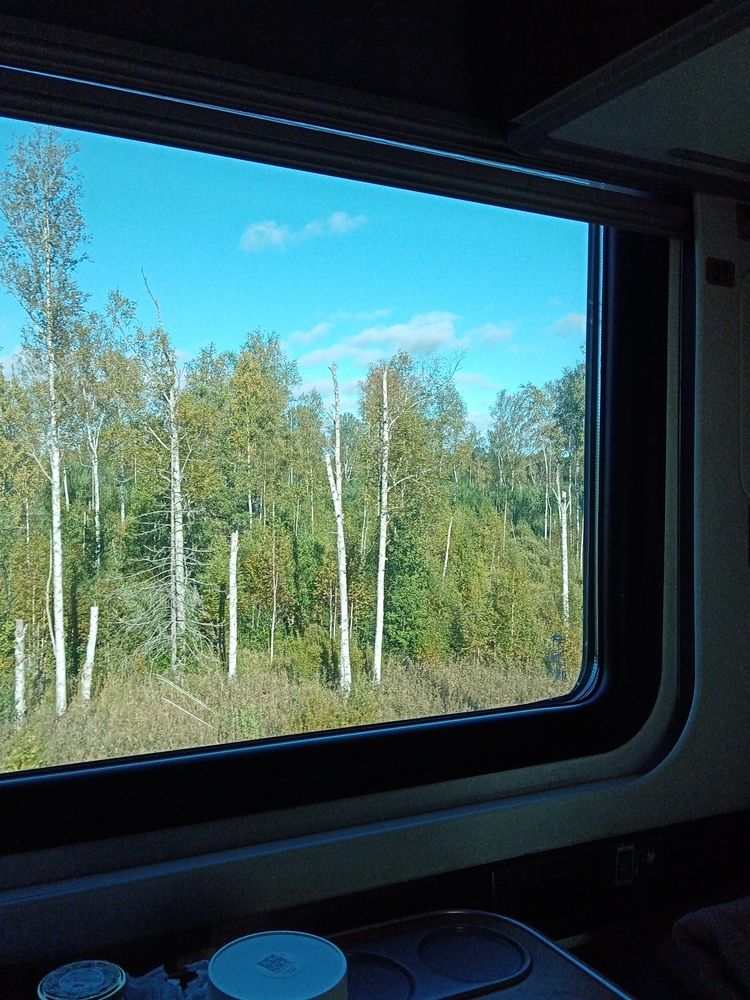 Photo #12959716
