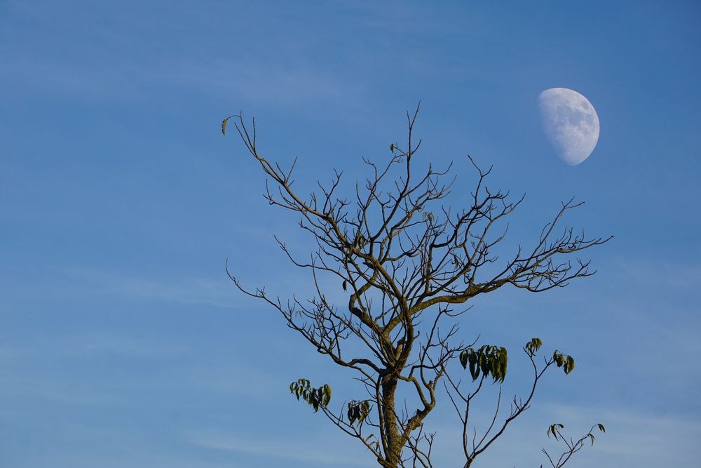 Фотография автора Washiful Majid