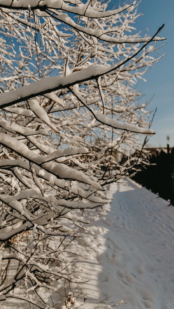 Photograph by Юлия Куклина