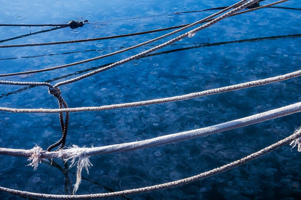 Photograph by Nikolai Barchan