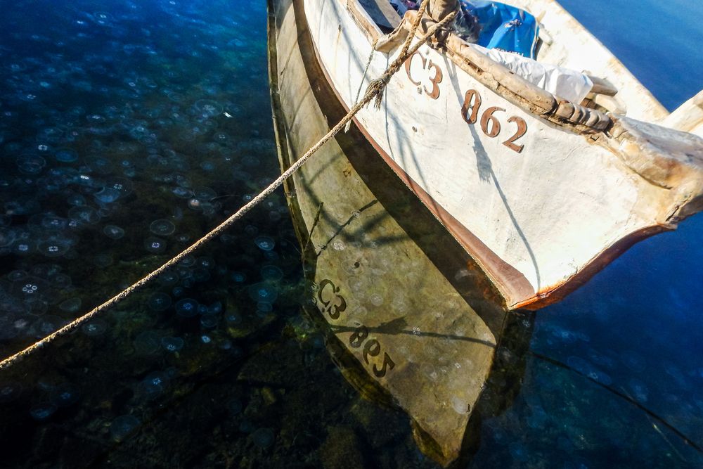 Photograph by Nikolai Barchan