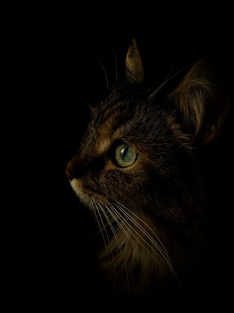 Photograph by Наталья Богатырева