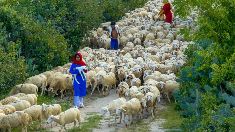 Фотография автора QUAN NGUYEN HUNG