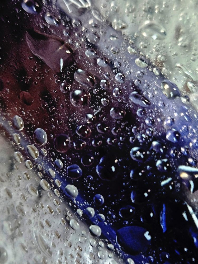 Фотография автора Tatiana Shirenko