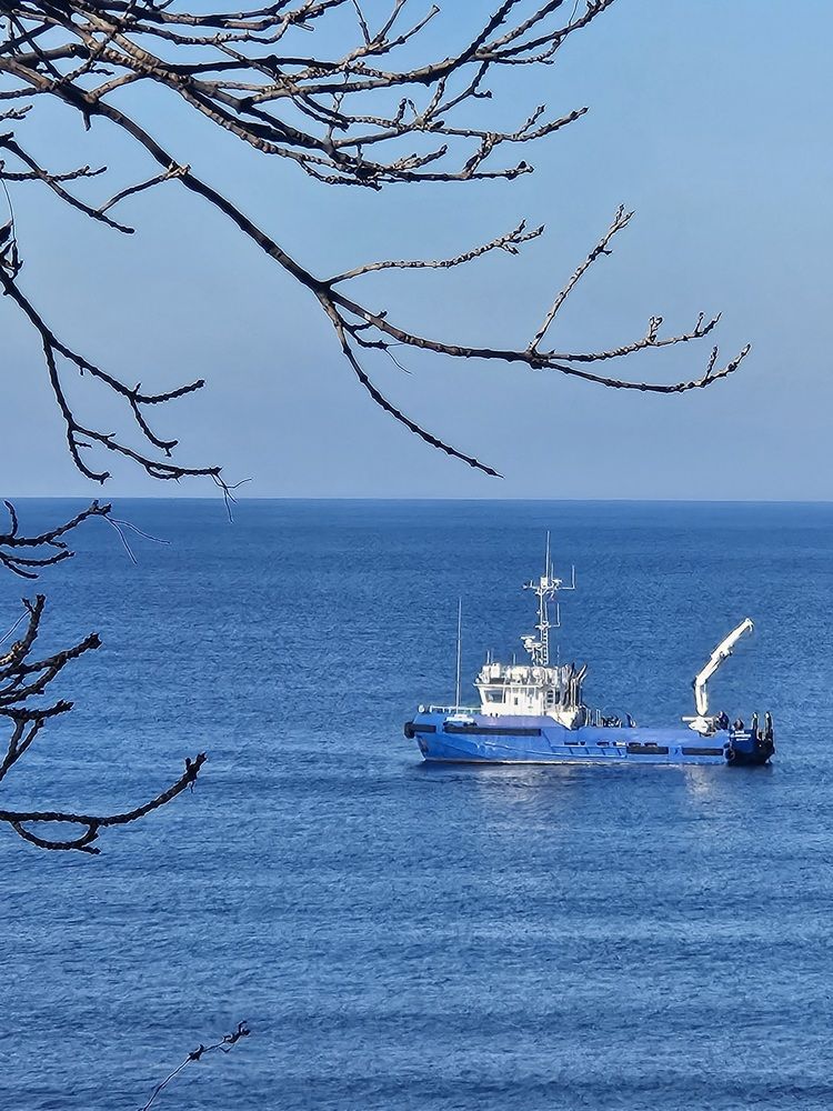 Фотография автора Tatiana Shirenko