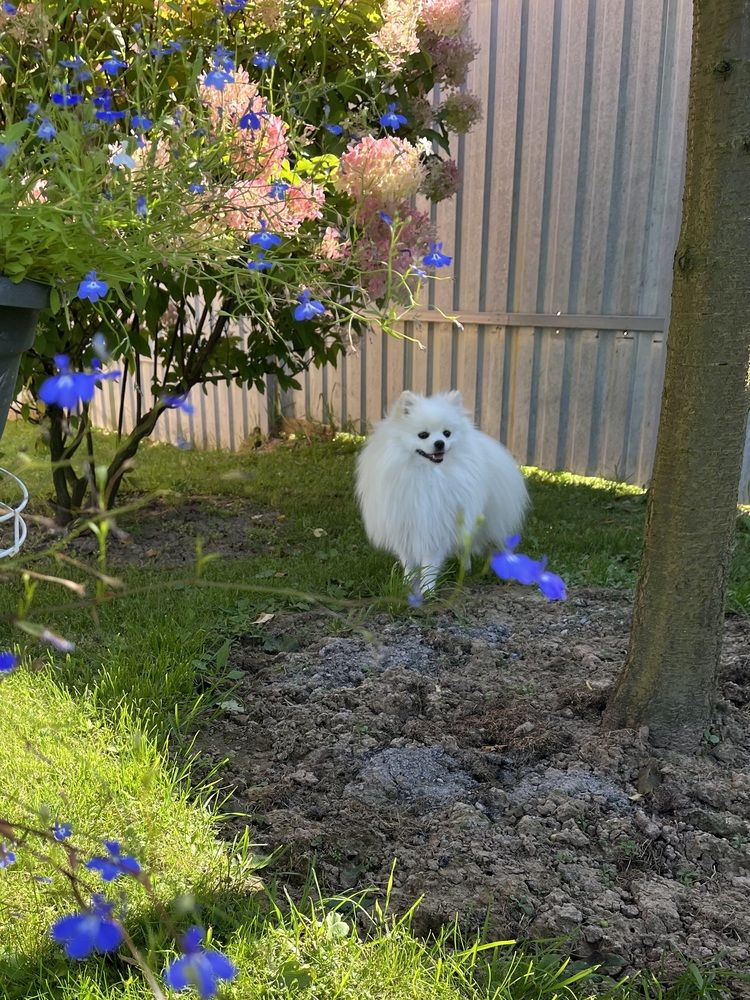 Фотография автора Irina Ginbert