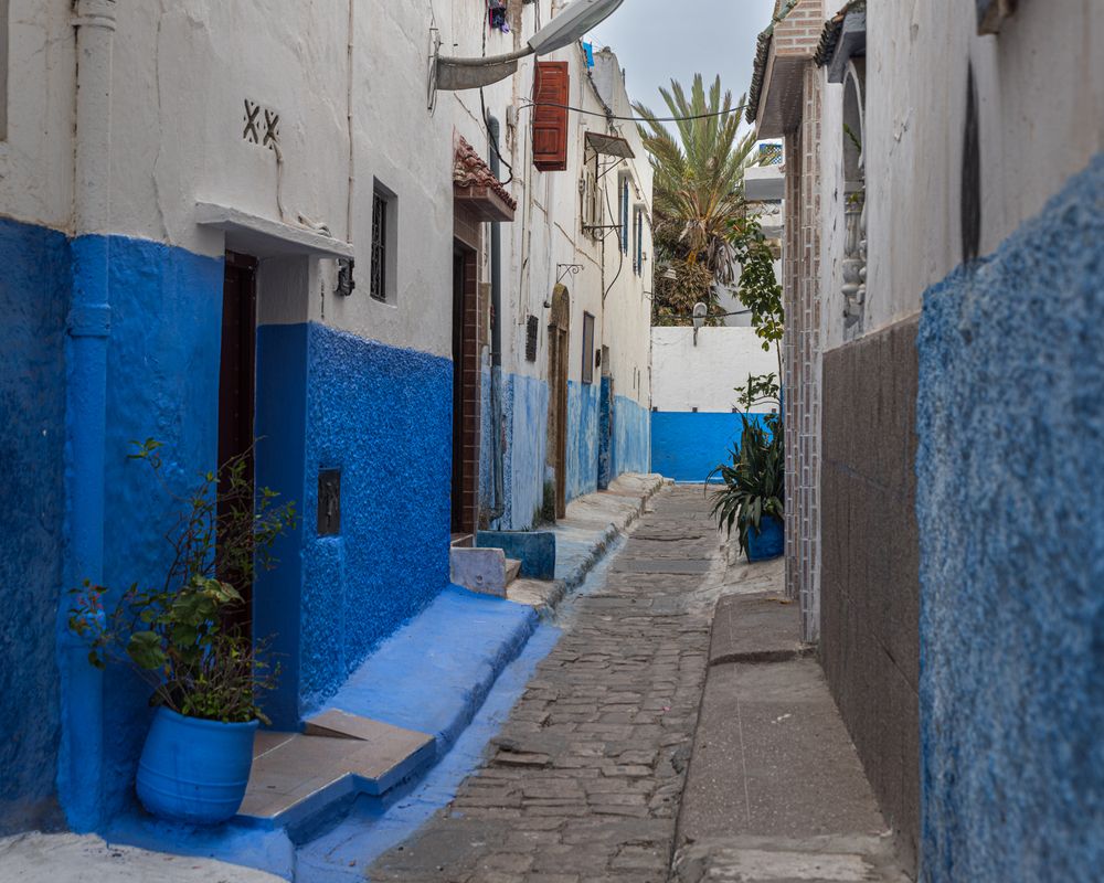 Фотография автора Sophie Abuhazera