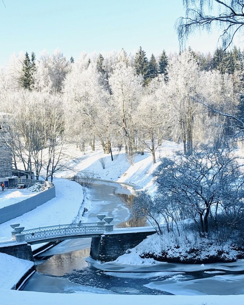 Photograph by Титаренко Людмила