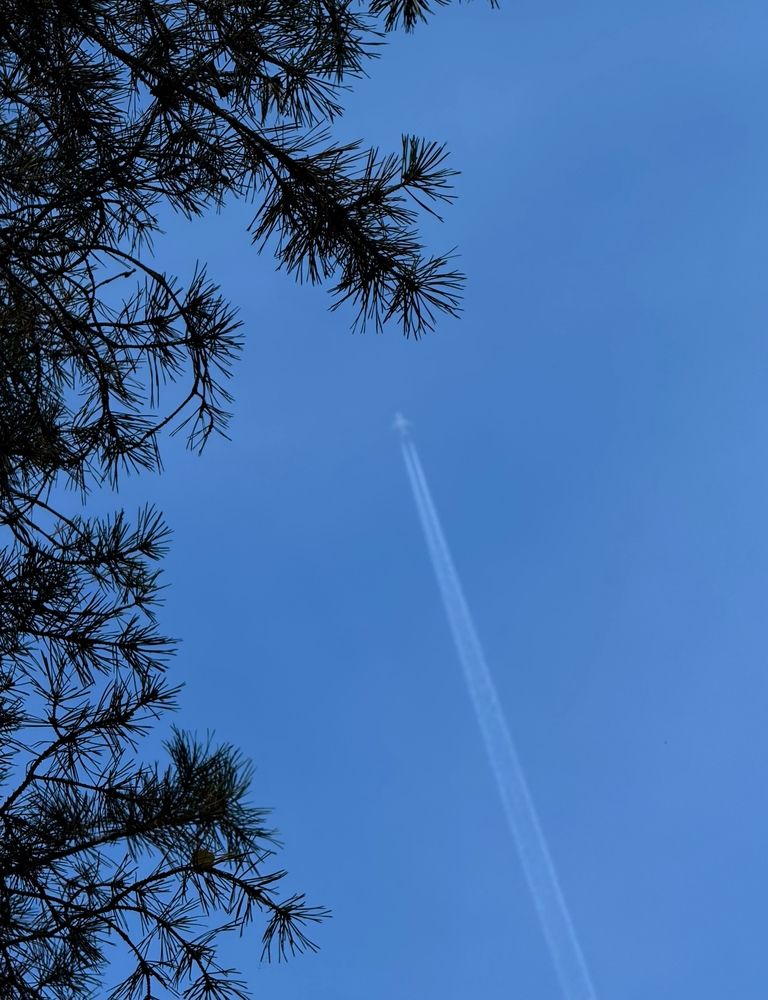 Фотография автора Галина Санчирова