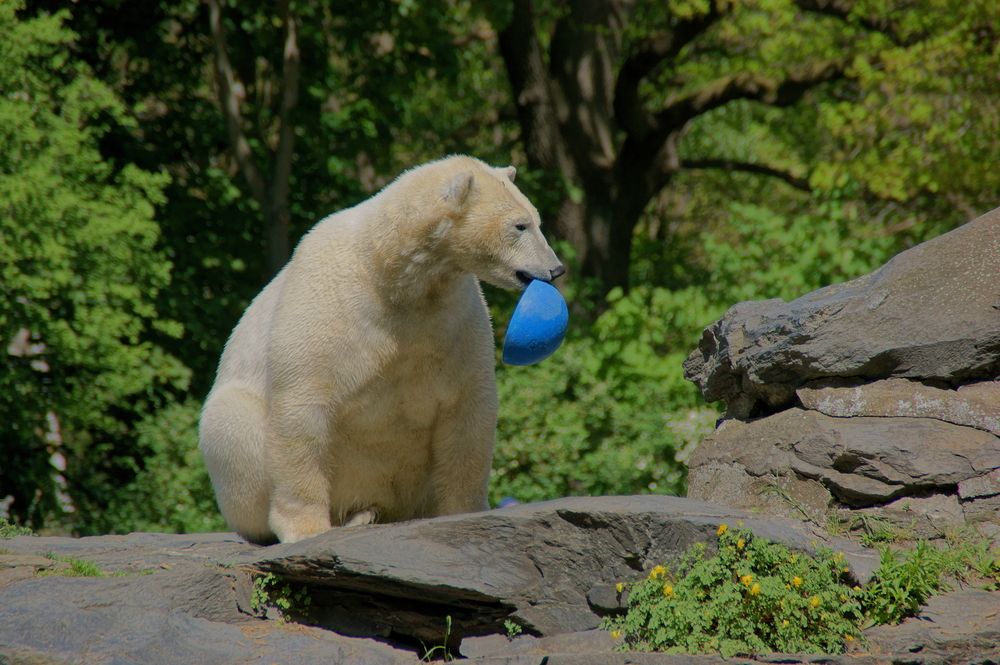Фотография автора Sergej Roor