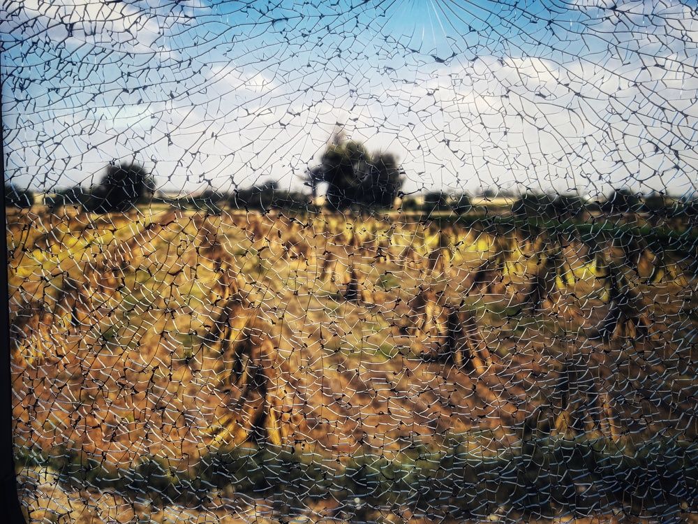 Photograph by Кирилл Леднев